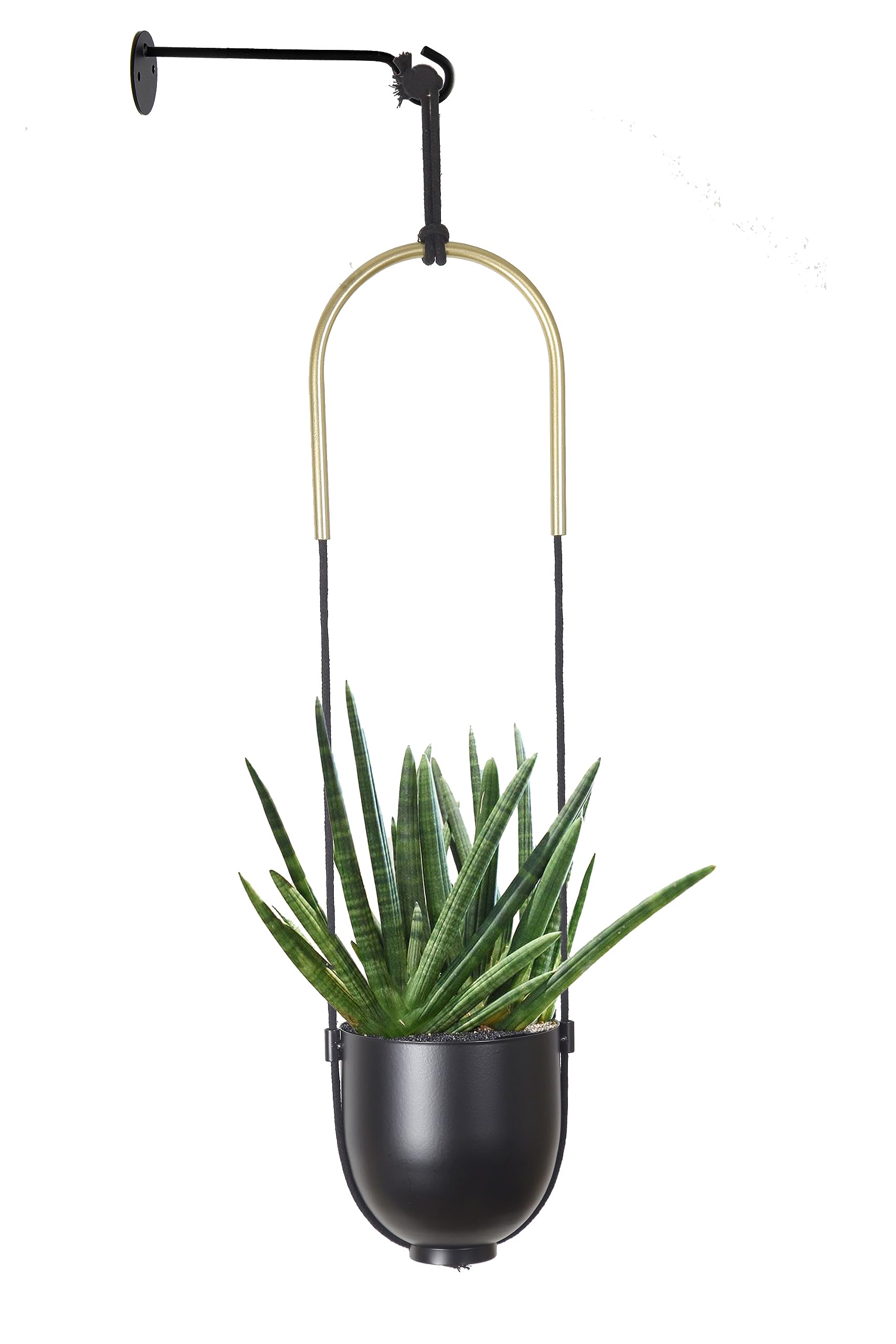 Photo 1 of CAIJUDONG Hanging Planter for Indoor Outdoor Plants Window Wall Hanging Plant Pot Modern Plant Basket for Succulents Ferns,Black