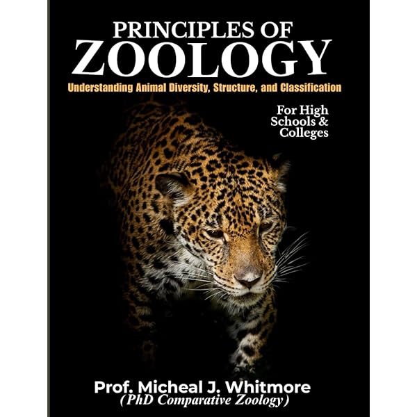 Biokinetics and Biodynamics of Human Differentiation: Principles