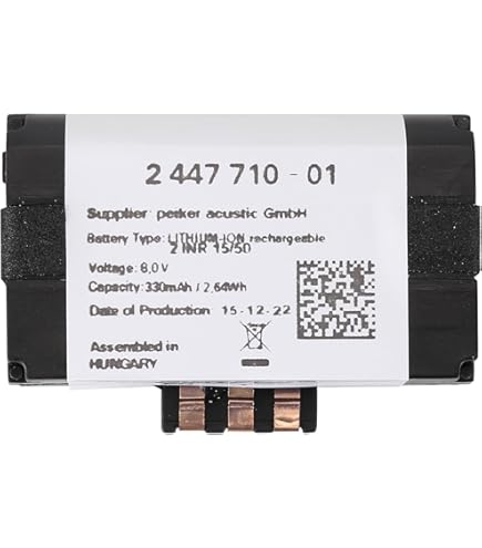 Amazon.com: Saitedudu Emergency Battery Compatible with BMW