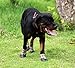 PUPTECK Anti-Slip Dog Socks with Straps Traction Control Waterproof Paw Protector for Indoor Outdoor Wear Extra Large