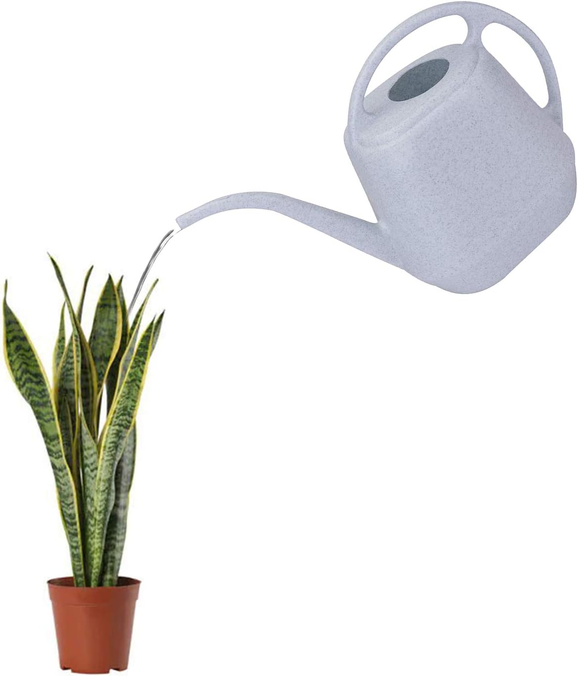 Fasmov Plastic Watering Can, 1-Gallon : Garden & Outdoor