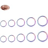 18G Nose Hoop Rings Surgical Steel Hinged Segment Clicker Rings 16G Septum Lip Rings 10 PCS Conch Daith Rook Cartilage Tragus Helix Sleeper Lobe Hoop Earrings Piercing Jewelry for Women 6mm to 16mm