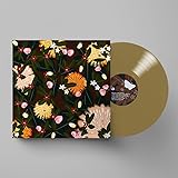 Noise Floor rarities: 1998-2005 Champagne Wave