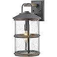 Hinkley Lakehouse Medium Wall Mount Lantern, Estate Series, 1-Light, Aluminium, Clear Seedy Glass Light, Aged Zinc with Drift