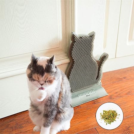 cat door scratcher