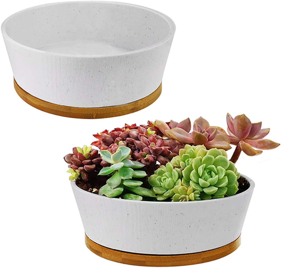 MUZHI 2PCS Modern Unglazed Succulent Cactus Planter Pot with Bamboo