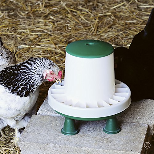 Premier Ascot Poultry Feeder w/Grill - 6 lb.