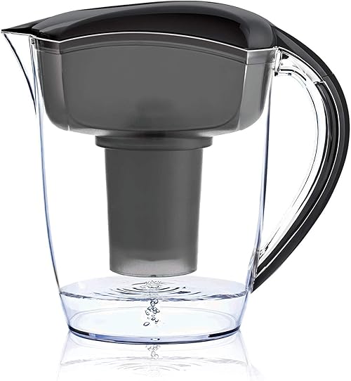 Top 9 Best Alkaline Water Pitchers For The Money 2024 Reviews