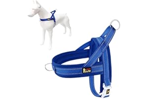 Plutus Pet No Pull Dog Harness with Breathable Mesh Padded, Adjustable Reflective Escape Proof Dog Harness, Quick Fit Dog Vest Harness for Small Medium Large Dogs(L, Navy Blue)