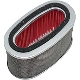 Air Filter for Honda Replace air Filter for Honda 17213-MEG-000 for Honda VT750 Shadow Phantom,VT750 Shadow Spirit,VT750 (ABS) Shadow Spirit,VT750CA Shadow Aero,VT750RS Shadow RS for Honda Air Filter