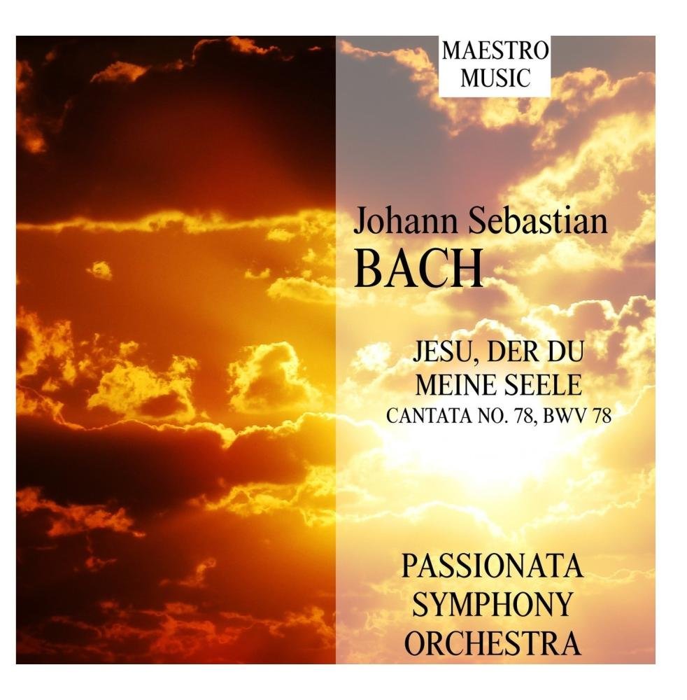 Bach Jesu Der Du Meine Seele