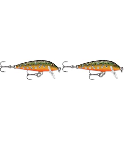Rapala Countdown 05 Brook Trout, Soft Plastic Lures