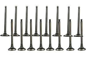 Silscvtt Intake Air-Out Valves Replacement for Hyundai Accent Rio 1.5L 1.6L 1996-2011