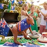 Henbrandt Inflatable Kangaroo 70cm with Blue Australian Flag view 4