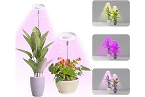HYWYIMLAIT Halo Ring Grow Lights for Small Indoor Plants, Red+Blue+Yellow Light Full Spectrum LED Plant Light, Height Adjustable with 5V 2A Adapter, 3/9/12H Timer & 10 Dimmable Levels, Angel Ring 2 Pack