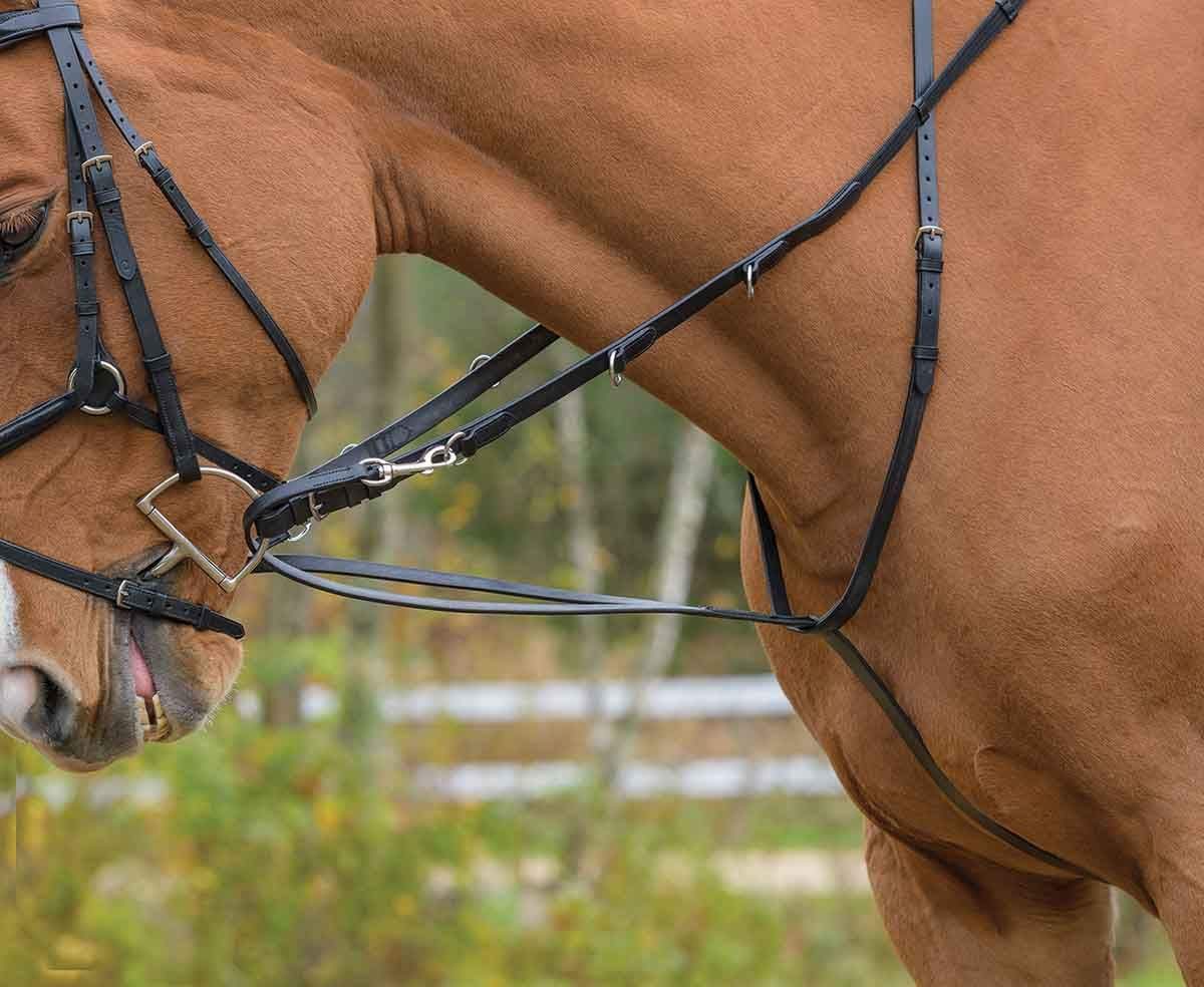 Shires Avignon German Martingale Sports & Outdoors