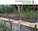 ANDES Premium Palo Santo Holy Wood Incense Sticks Purifying, Cleansing, Healing, Meditation, Stress Relief. 100% Peruvian Natural Sustainable, Wild Harvested. (25 STICKS)