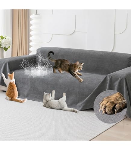 Amazon.com: Loiion Cat Scratch Proof Furniture Protector