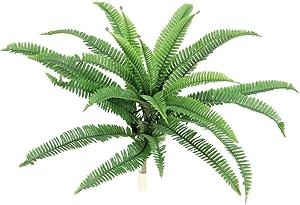 Admired By Nature Steam Artificial Kimberly Queen Fern Bush for Home Office, Wedding & Restaurant Decoration Arrangement, 24" L, 6 Piece