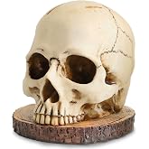 WALSIO Life Size Skull Knife Holder Resin Skull Shaped Knife Block for Kitchen Indoor Desk Decorations