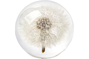 1st Heaven Dandelion Paperweight in Crystal – Real Preserved Dandelion, Symbol of Hope, Luck, or New Beginnings – Elegant Gift with Gift Box & Card (Dandelion, 2.6 in)