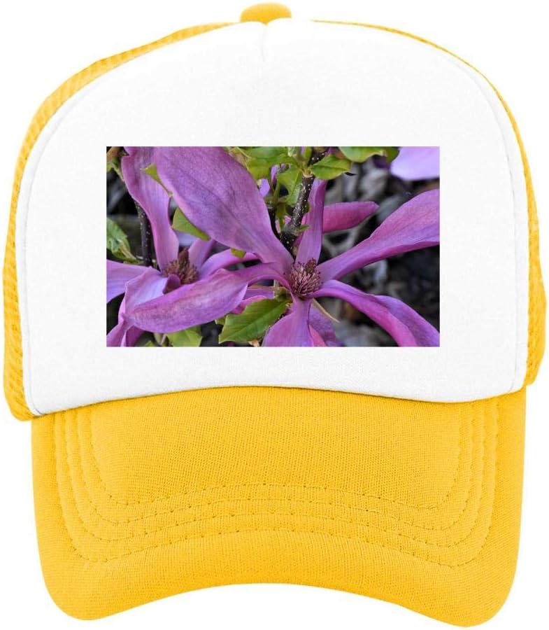 magnolia ball cap