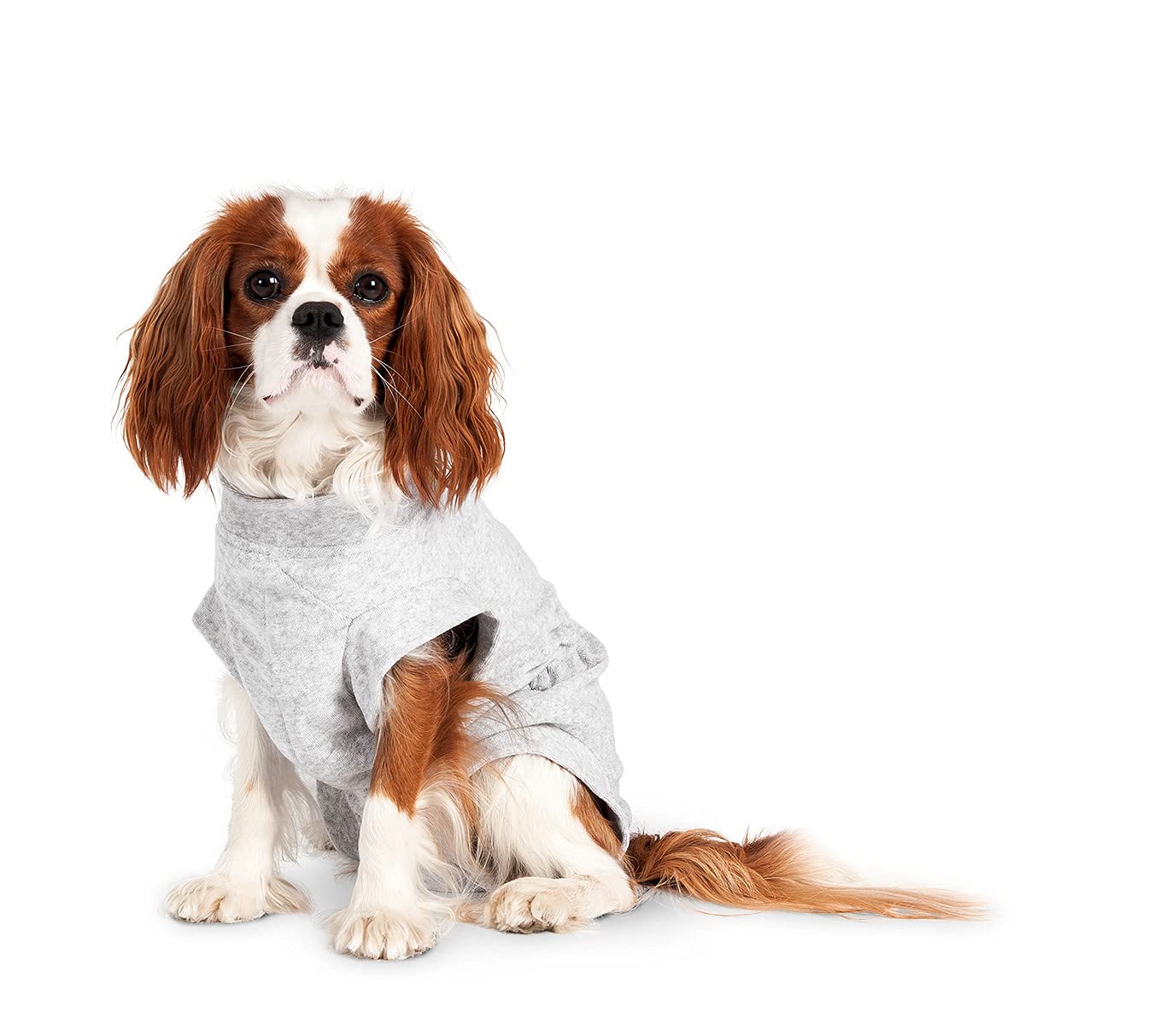 Flamingo SAFETY BODY HALLI GREY 36 CM