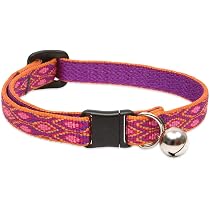 LupinePet Rain Song Cat Safety Collar With Bell – 1/2" Wide, Adjustable 8–12", Breakaway Buckle