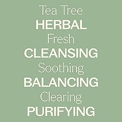 Plant Therapy Tea Tree (Melaleuca) Hydrosol 16 oz
