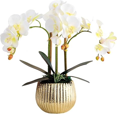 Amazon 絶妙な 黄金の花瓶テーブルの中心ピースの装飾が付いている人工の白い蘭の胡蝶蘭の配置花盆栽 エレガントな装飾 造花 オンライン通販