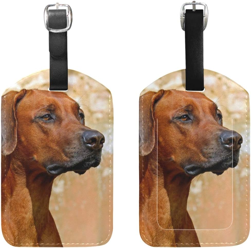 ridgeback x2