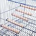 QBLEEV Bird Stands for Cage, Bird Perches for Parakeets, Cockatiel Wooden Parrot Stand Birdcage Wood Bar Perch- 5 Pack-5.9 inch Length- Diameter 0.7 inch-Bird Cage Not Includethumb 3