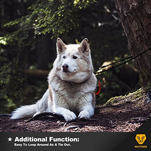 WATFOON - Metal Dog Leash【2 Pack】Chew Proof Steel Cable Dog Leads for Large Dogs (Short Leash:2.6FT / Long Leash:6.0FT)