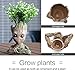50 Pieces lugongjiaju Groot Action Love Figures Guardians of The Galaxy Flowerpot Baby Fashion Cute Model Toy Pen Pot Best Gifts 5.51 inch