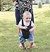 My Early Steps Learn to Walk Harness (Gray)