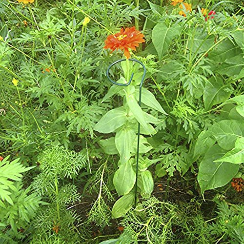 Alapaste 18-Inch Single Plant Stem Support Stakes with 3-Inch Hoop, 3-Pack