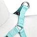 Blueberry Pet Essentials Step-in Dog Harness, Small Size | Adjustable Mint Blue Vest | Classic Solid Nylon for Boy & Girl Dogs, Chest Girth 16.5