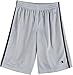 Champion Big Boys' Active Mesh Short, Shark/Black, Large