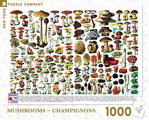 New York Puzzle Company - Mushrooms ~ Champignons - 1000 Piece Jigsaw Puzzle