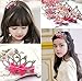 Joyci Infant Girl's Diamond Crown Hair Pin Princess Hair Clips Kids Party Hair Accessory