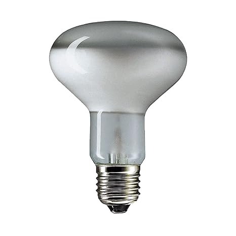 Fluorescent spot light