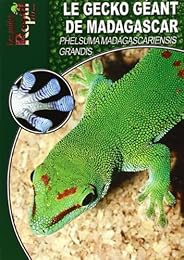 Le  gecko géant de Madagascar