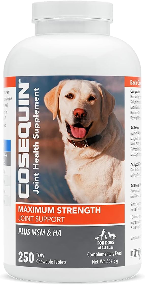 Nutramax Cosequin Maximum Strength Joint Supplement for Dogs – With Glucosamine, Chondroitin, MSM & Hyaluronic Acid – Supports Joint Health & Mobility – 250 Chewable Tablets