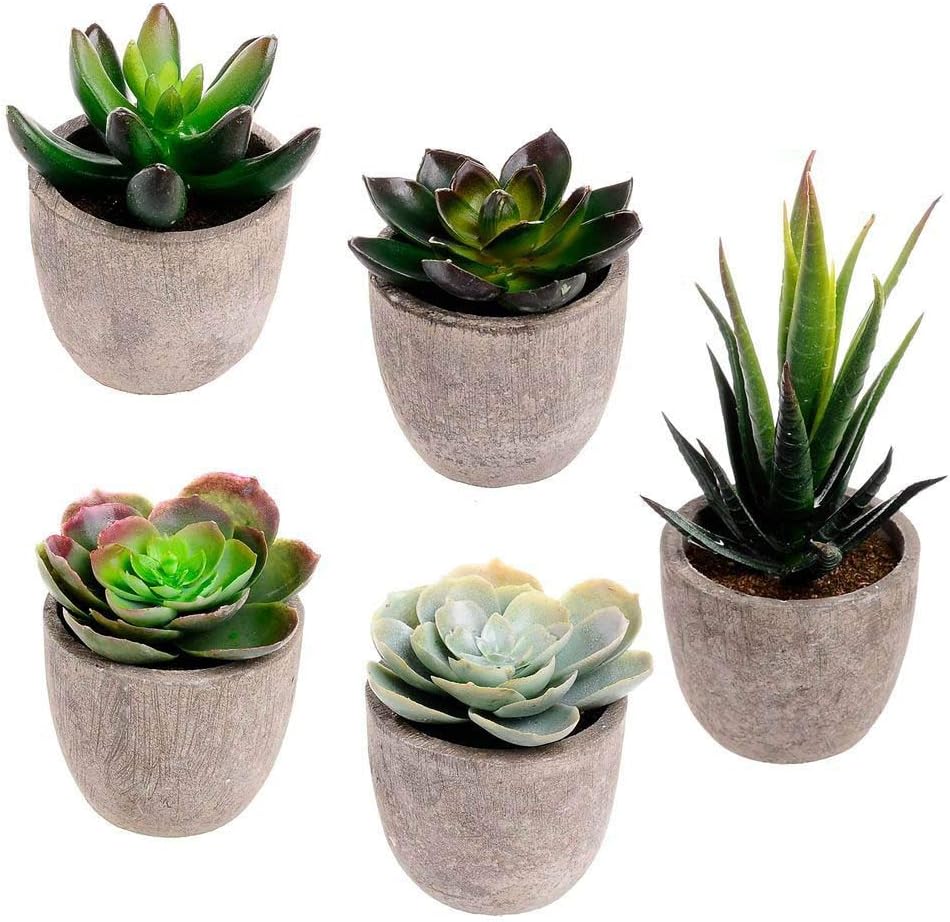 Gardenlive Assorted Decorative Faux Succulent Artificial Succulent Cactus Fake Cacti Plants with Gray Pots, Set of 5