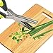 Warmhoming Herb Scissors 5 Stainless Steel Blades - Green Black (Green&Black)