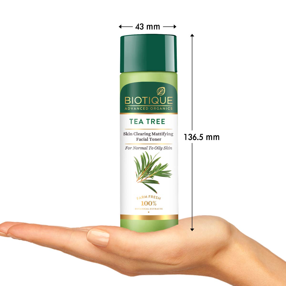biotique tea tree toner