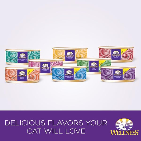 WELLNESS COMPLETE HEALTH GRAIN FREE CHICKEN & HERRING NATURAL WET CANNED CAT FOOD, 3-OUNCE CAN (PACK OF 24)