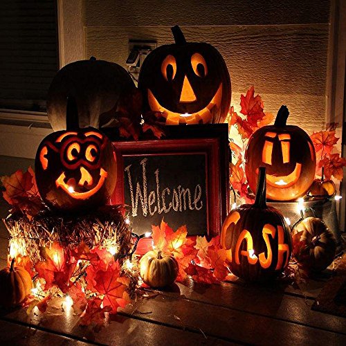 GIAGY Fall Decor,Fall Garland,Thanksgiving Decor,Christmas Decor Lighted Fall Wreath Halloween String Lights [ 14.7 Feet &40 Lights ] - Thumbnail 2