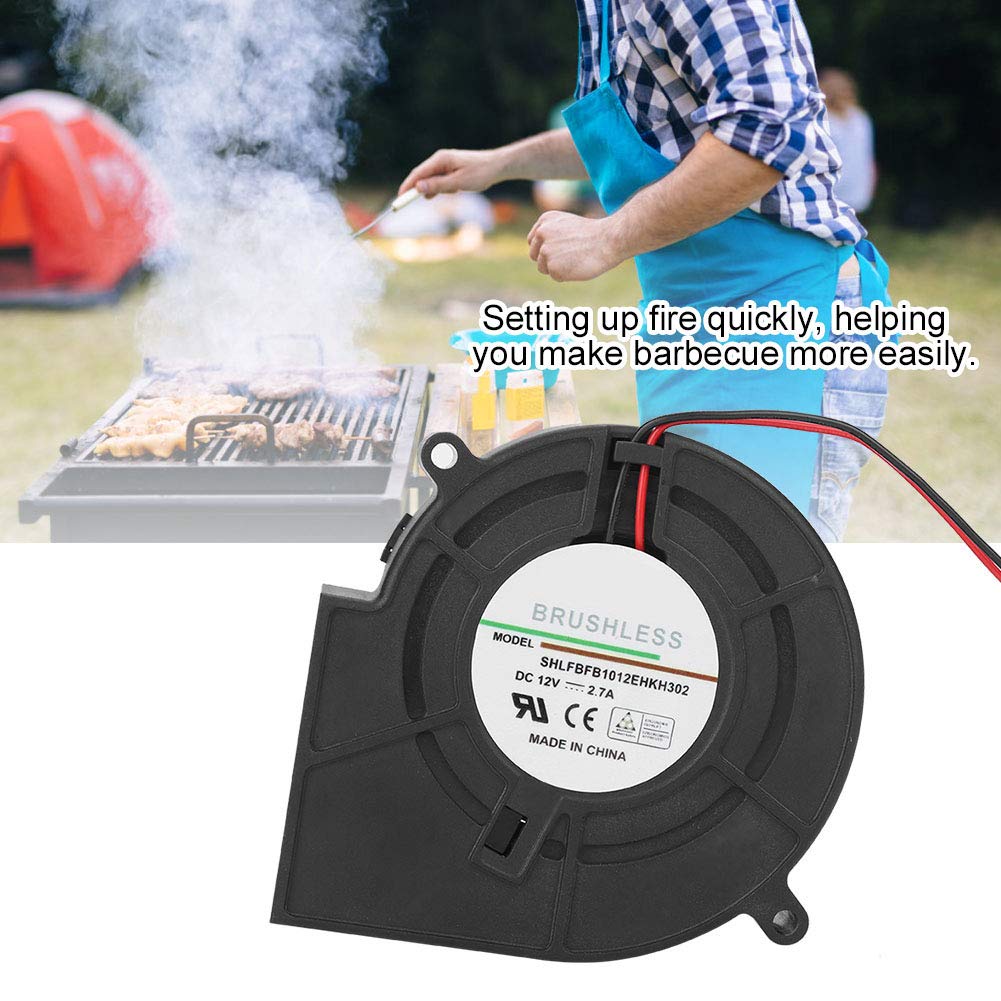 BBQ Fire Starter Air Blower,DC12V Portable Electric blower,Intelligent