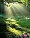 LB 3x5ft Nature Scenery Poly Fabric Photography Background Customized Photography Backdrop Studio Prop M-36